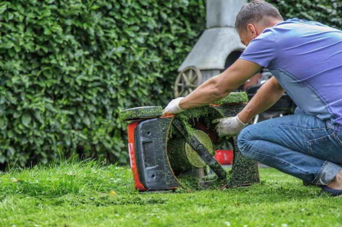 W żadnym wypadku nie można kosić trawnik z tępym narzędziem. Zdjęcie wykorzystane w ramach standardowej licencji © ofazende.ru