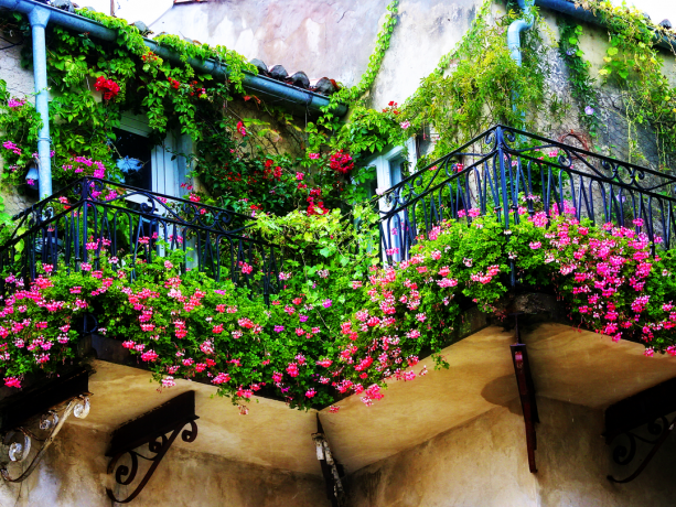 Interesujące warianty organizacja kwitnących klombów na balkonie (dla tych, którzy naprawdę kocha kwiaty)