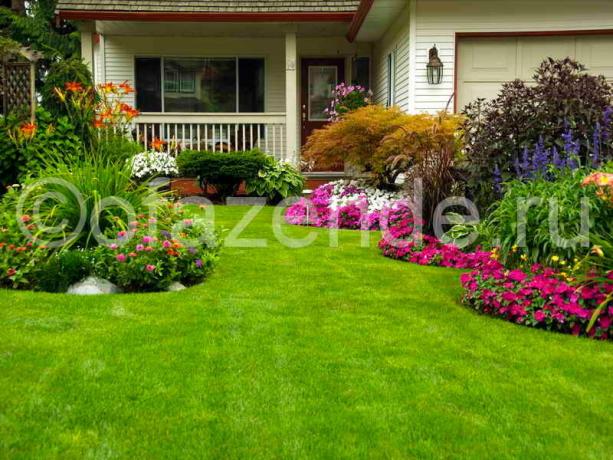 Kwitnący trawnik przed domem własnymi rękami tips ogrodników
