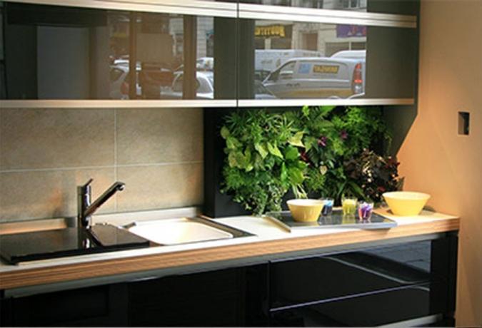 Zieloni w kuchni - świeże pomysły na wykorzystanie roślin domowych