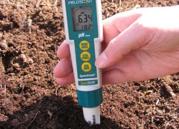 Jak sprawdzić kwasowość gleby w domu