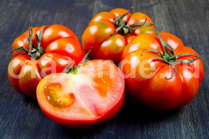 Aby szybko zarumieniła pomidory