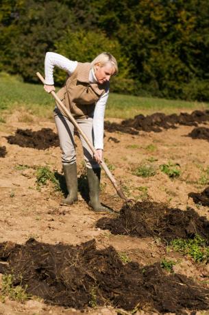 Najważniejsze rzeczy do zrobienia w ogrodzie w listopadzie - jest przygotowanie gleby. Ilustracja do artykułu służy do standardowej licencji © ofazende.ru