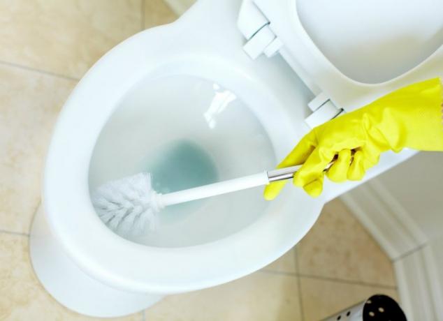 Jak czyścić toaletę śrubokrętem?