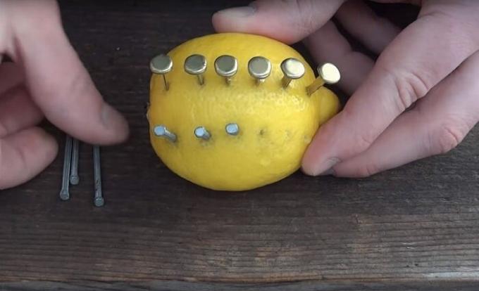  Lemon - tajemnicza cytrusowe, które mogą zadowolić nie tylko witaminy. / Zdjęcie: s1.dmcdn.net. 