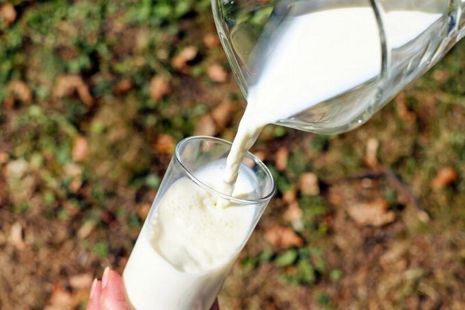 Korzyści mleko ogrodzie. Ilustracja do artykułu wykorzystywane open source