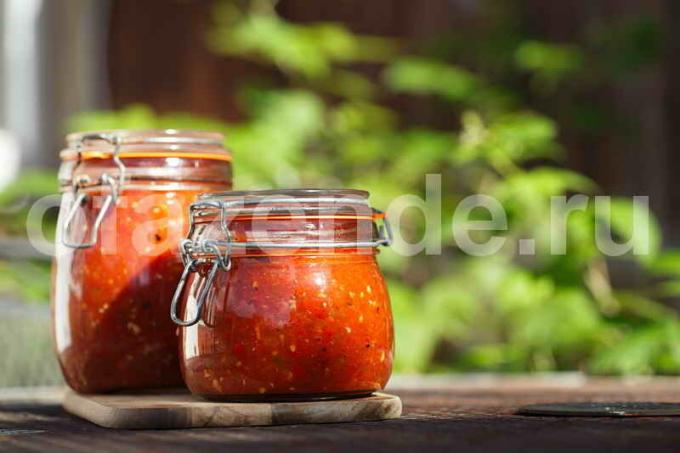 Przepis salsa sos. Ilustracja do artykułu służy do standardowej licencji © ofazende.ru