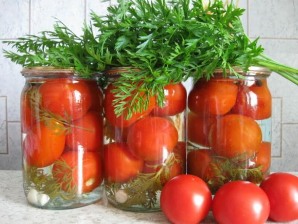 Pomidory z marchwi szczyty mają niezwykły smak. Ilustracja do artykułu służy do standardowej licencji © ofazende.ru