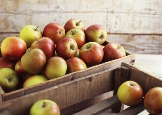 Mój „tajemnice” długoterminowego przechowywania jabłek. 3 skuteczna metoda