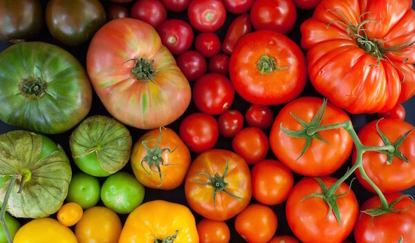 Oryginalny sposób uprawy pomidorów w panierce