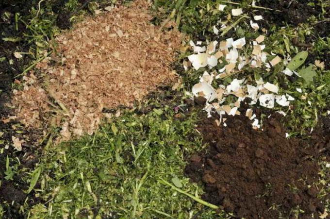 Skorupki lepiej wprowadzać do gleby przez kopanie jesienią, wraz z innymi nawozami