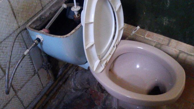 Radziecki WC: bezsensowny i bezlitosny?