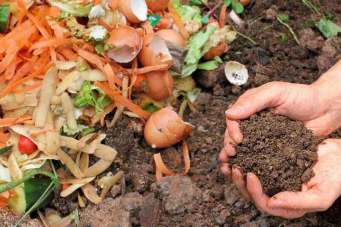 Skorupy - jest niezbędnym do wytwarzania produktów wysokiej jakości kompostu