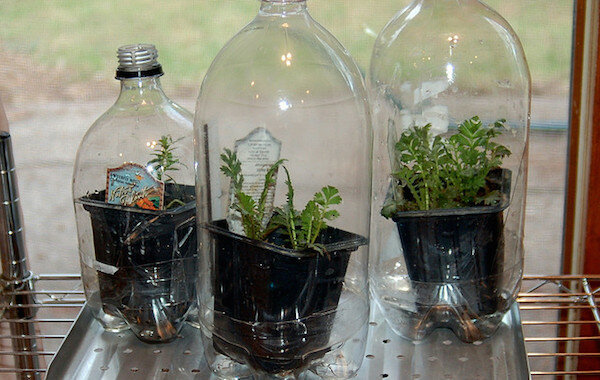 Zobacz: http://www.agfoundation.org/images/uploads/_660w/greenhouse_bottles.jpg
