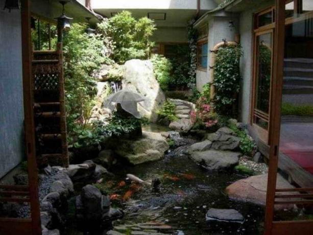 Ogród wodny w podwórzu tips ogrodnicy