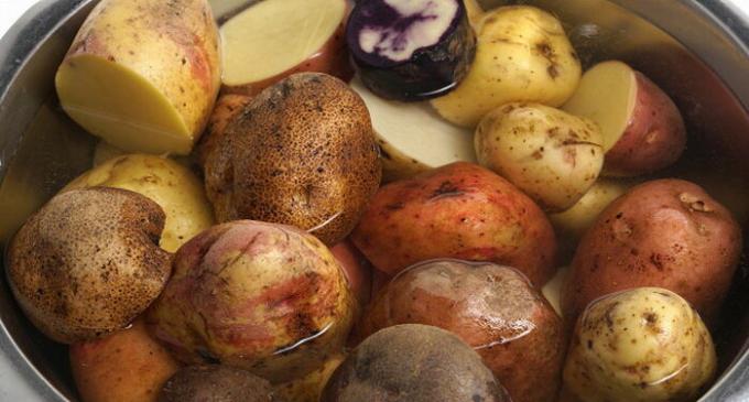 Spróbuj podczas zacierania się mieszać różnych odmian ziemniaków.