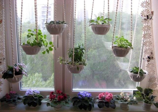 Oryginalna dekoracja okna z roślinami