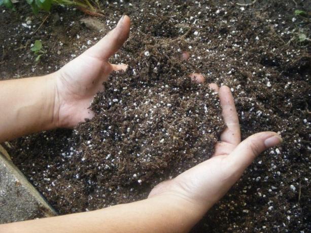 Co należy zastosować nawóz do gleby na wiosnę, aby uzyskać dobre zbiory