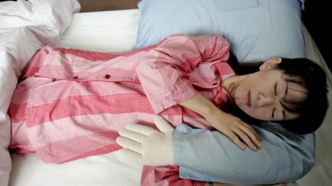 Samotne kobiety również nie mają zbyt wiele zdenerwowany, jeśli mają taką poduszkę. / Zdjęcie: i.kinja-img.com