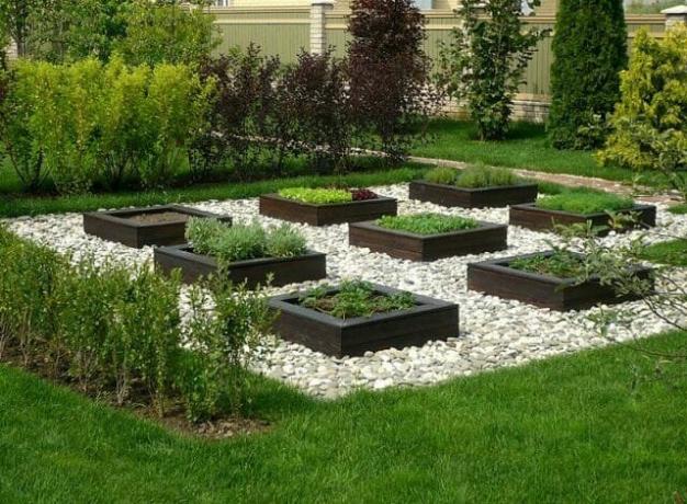 Wiklina i cegły: ogród idealny obrzeża
